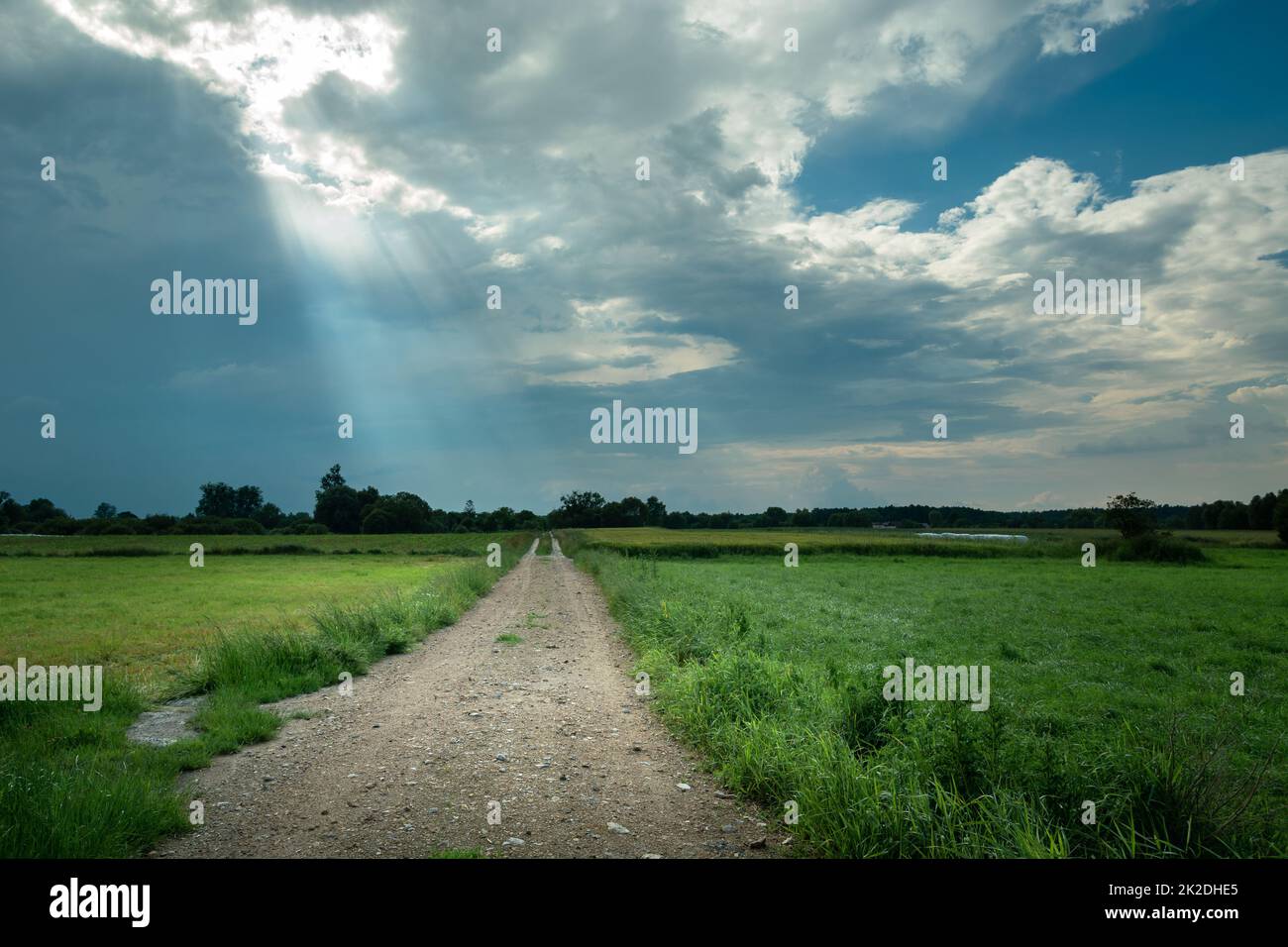 Sonnenstrahlen in den Wolken und Feldweg Stockfoto