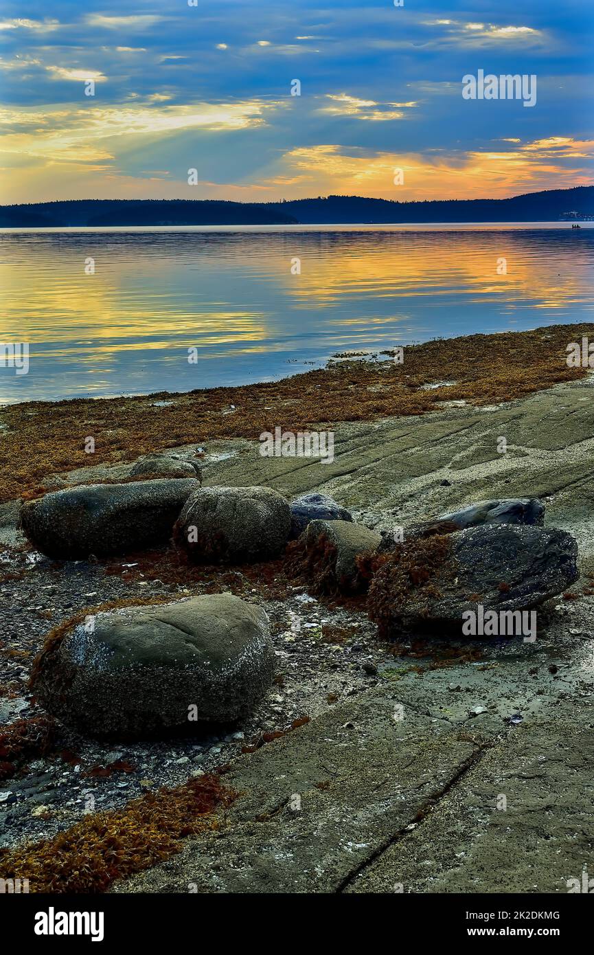 Ein vertikales Bild von großen Felsen an einem felsigen Strand auf Vancouver Island in British Columbia, Kanada. Stockfoto