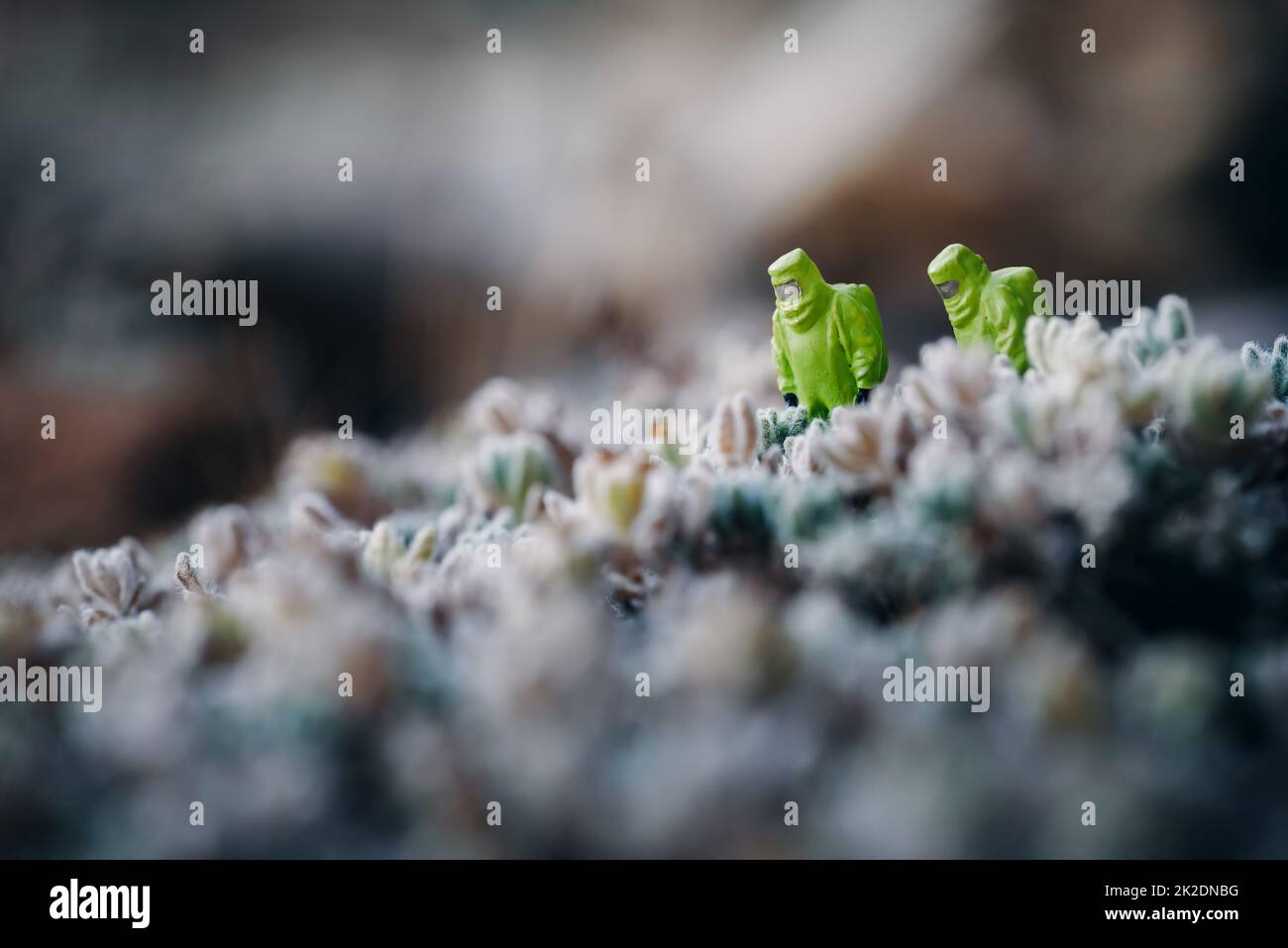 Menschen in Gefahrgutanzügen analysieren ein kontaminiertes Feld. Konzept der Umweltverschmutzung Stockfoto