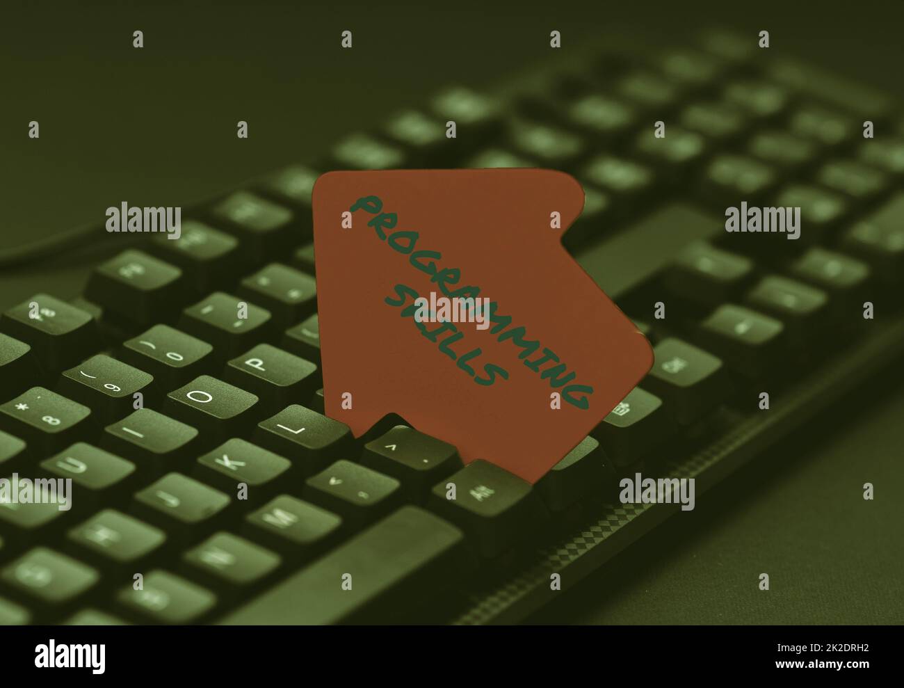 Text mit den Programmierfähigkeiten für Inspiration. Konzeptionelle Fotofertigkeiten sind wichtig, um ein Programm zu schreiben, damit der Computer alte Notizen in einen Computer schreiben kann, abstrakt, um emotionalen Roman zu erstellen Stockfoto