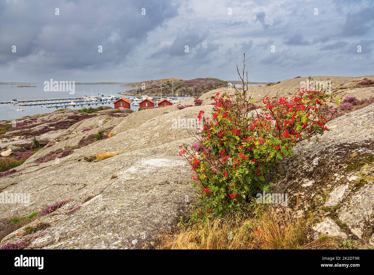 Landschaft in der Nähe von Sollid auf der Insel Orust in Schweden Stockfoto