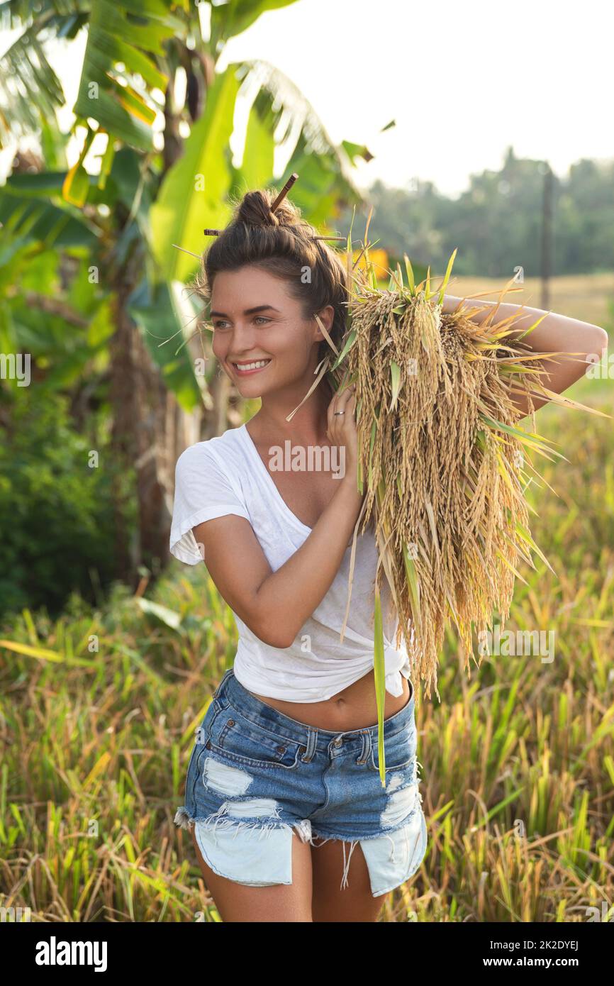 Glückliche Bäuerin während der Ernte auf dem Reisfeld Stockfoto