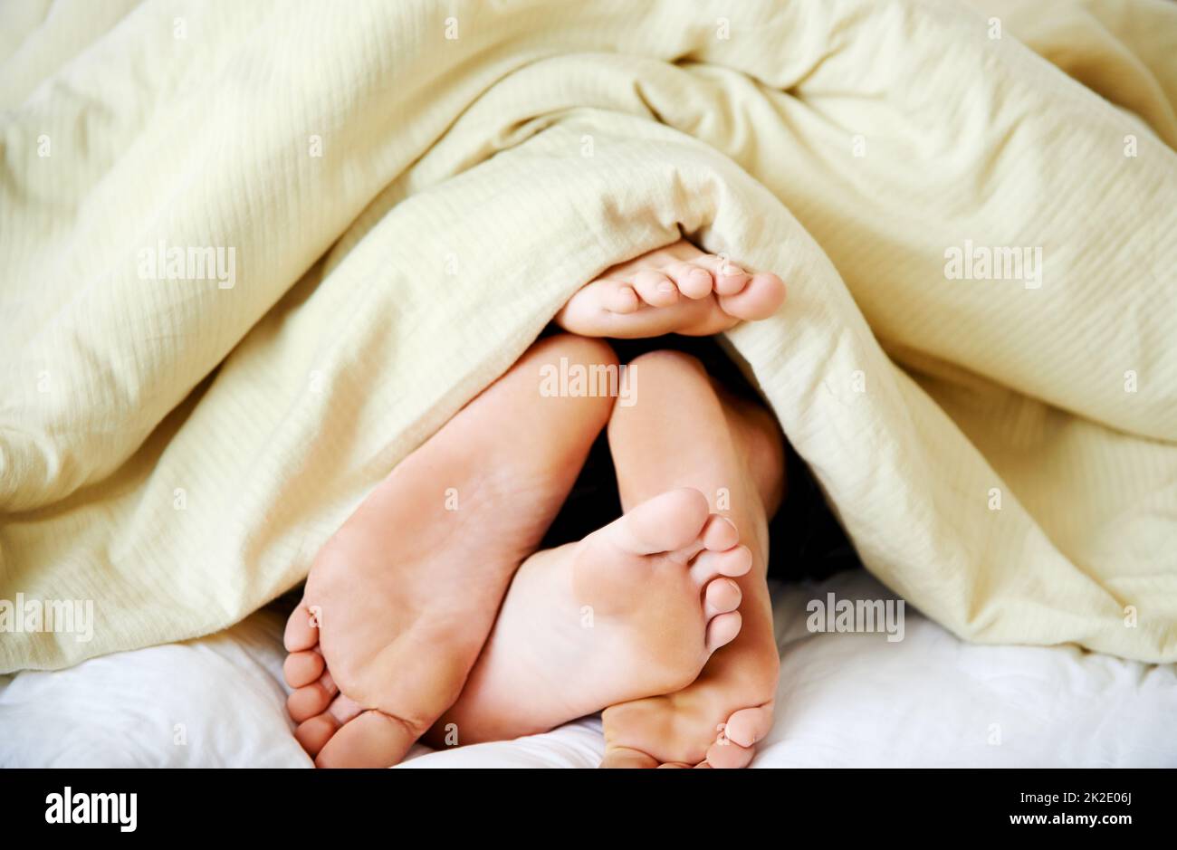 Intimität unter den Decken. Ein kurzer Schuss von den Füßen eines Paares, die unter der Bettwäsche herausstochen. Stockfoto