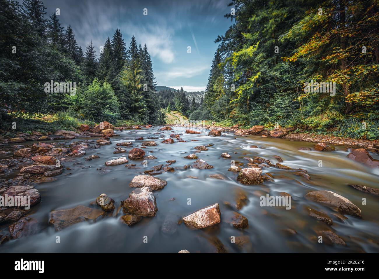 Der Bergfluss in Karpaten. Ukraine Stockfoto