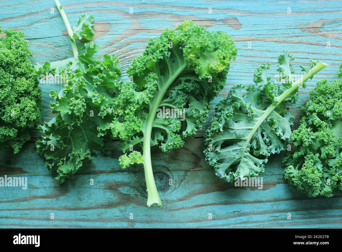 Frisches Kohlblatt auf blauem Holzhintergrund. Grüne Gemüseblätter. Draufsicht . Gesundes Essen, vegetarisches Essen Stockfoto