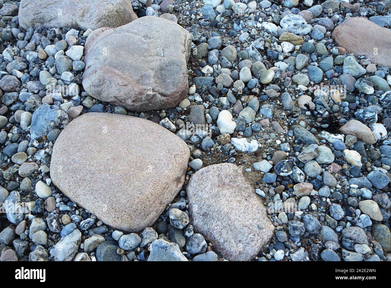 Steine am Strand, Fehmarn Stockfoto