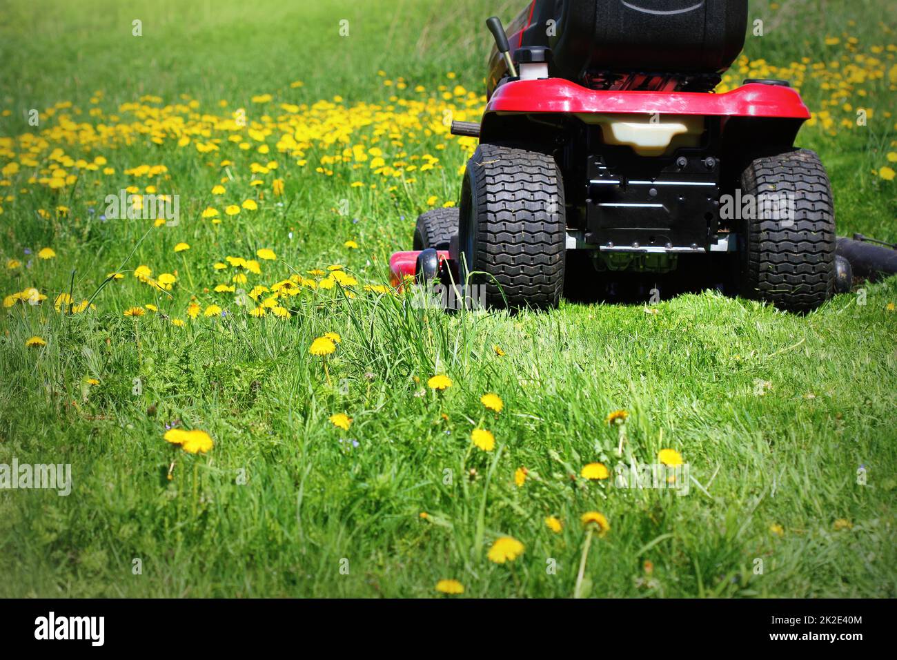 Rasenmäher des Traktors mäht das Gras im Frühling Stockfoto