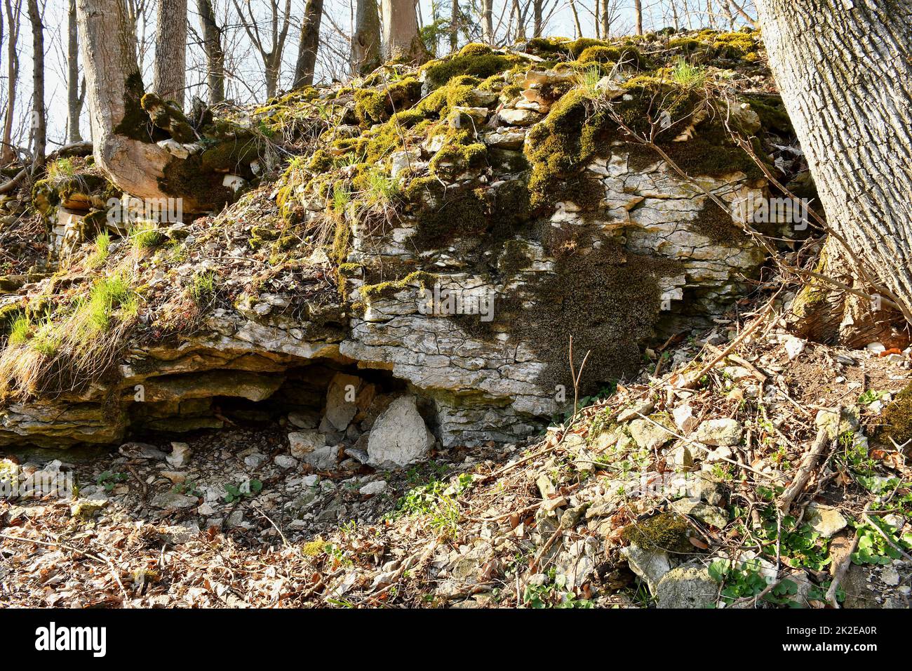 Überreste einer mittelalterlichen Burg in Deutschland Stockfoto