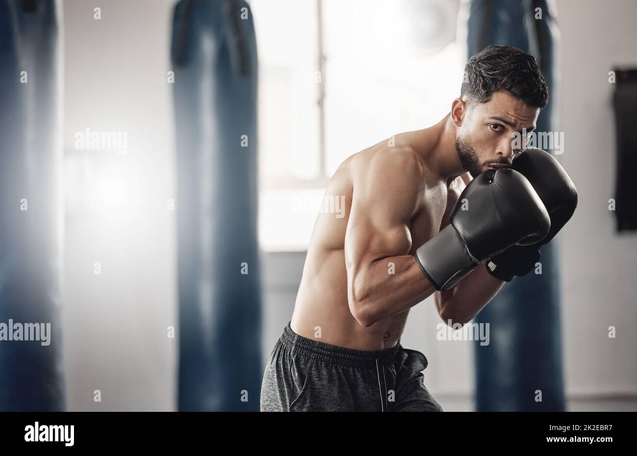 Boxhalle, Mann Porträt und Boxer Pose Technik zum Schutz in mma Kampf Praxis Studio. Training, Fitness und Athletenfokussieren Training für Stockfoto