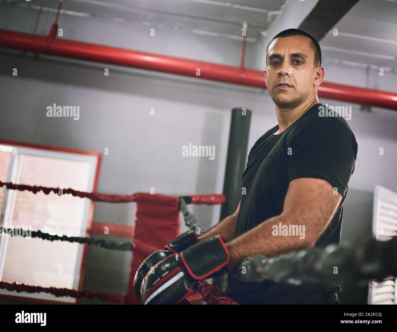 Nicht mit ihm durcheinander bringen. Porträt eines selbstbewussten jungen Boxers, der tagsüber in einem Fitnessstudio an Seilen in einem Boxring lehnt. Stockfoto