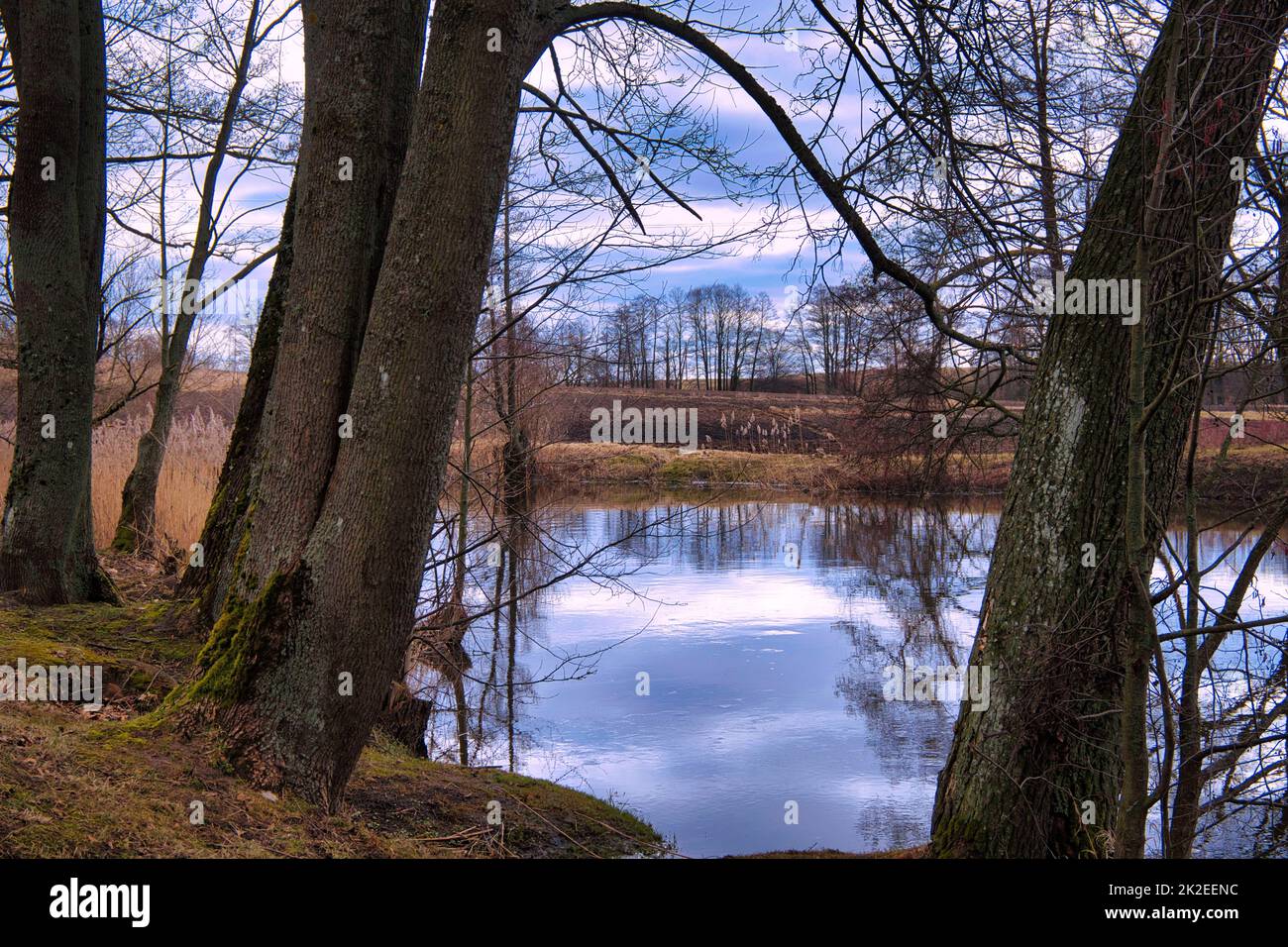 Ruhiger See mit Reflexionen der umliegenden Bäume Stockfoto