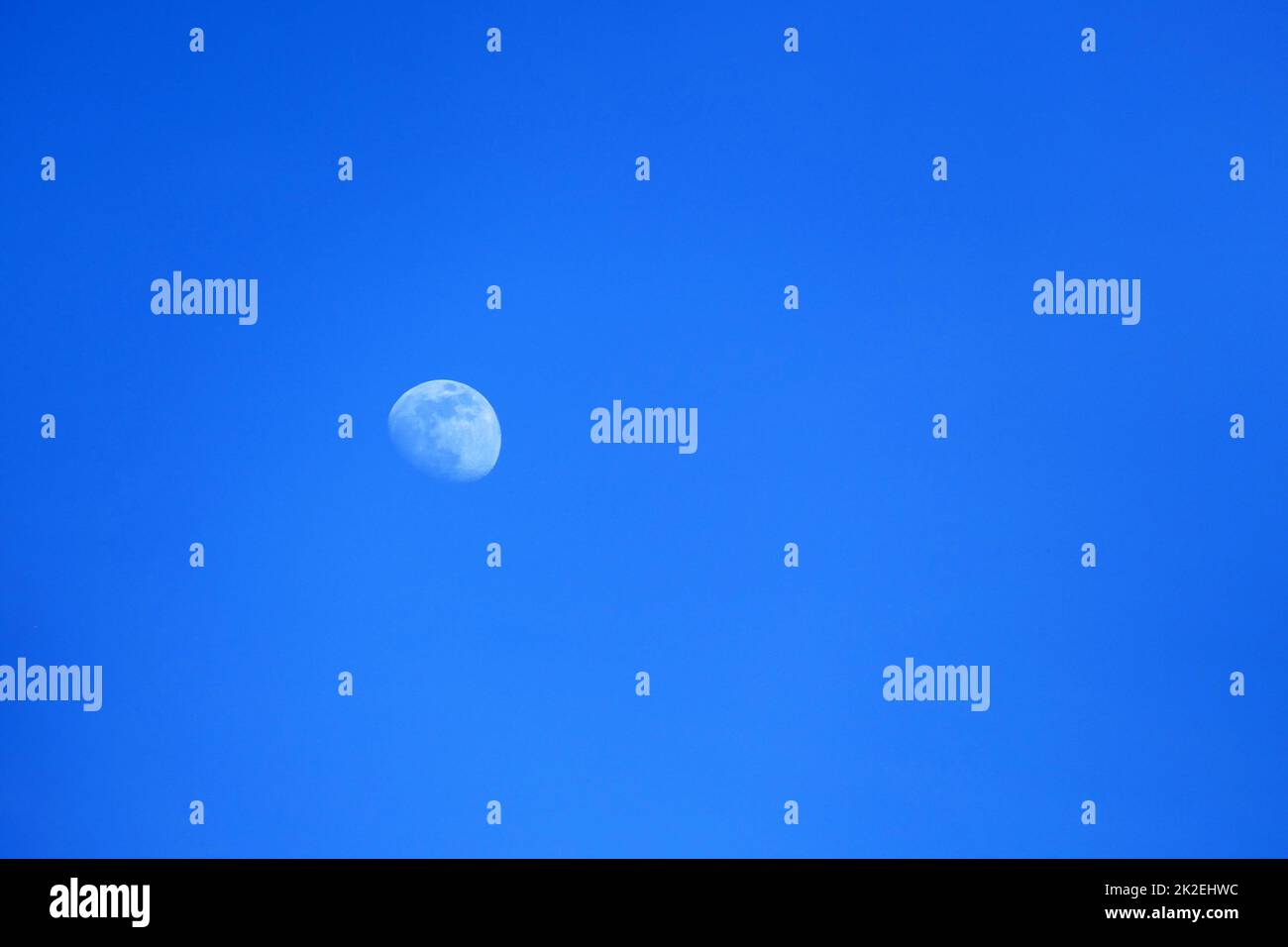 Sehr blauer Himmel und weißer Mond, Blick auf den Mond am Tageshimmel Stockfoto