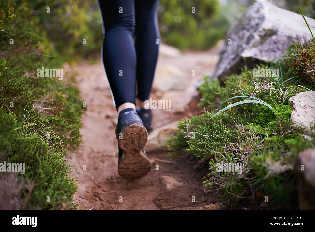 Auf dem Trail. Nahaufnahme der Beine einer Frau, die einen langen Weg zurücklegen. Stockfoto