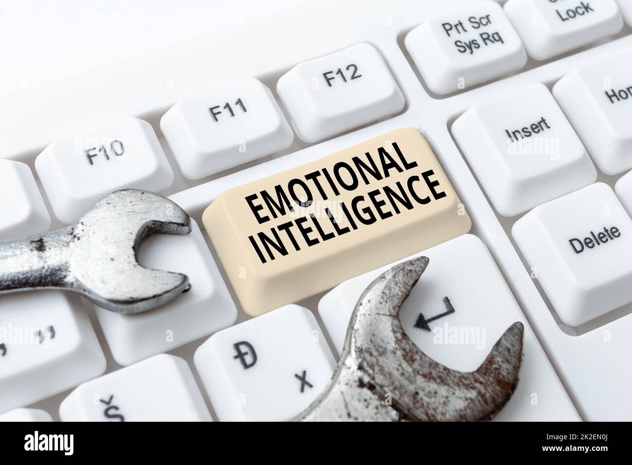 Schreiben mit Text emotionale Intelligenz. Wort für Fähigkeit, sich bewusst zu sein, Kontrolle, Eins ist Emotionen Formatieren und Kompilieren von Online-Daten, abstrakte Bearbeitungstabelle Stockfoto