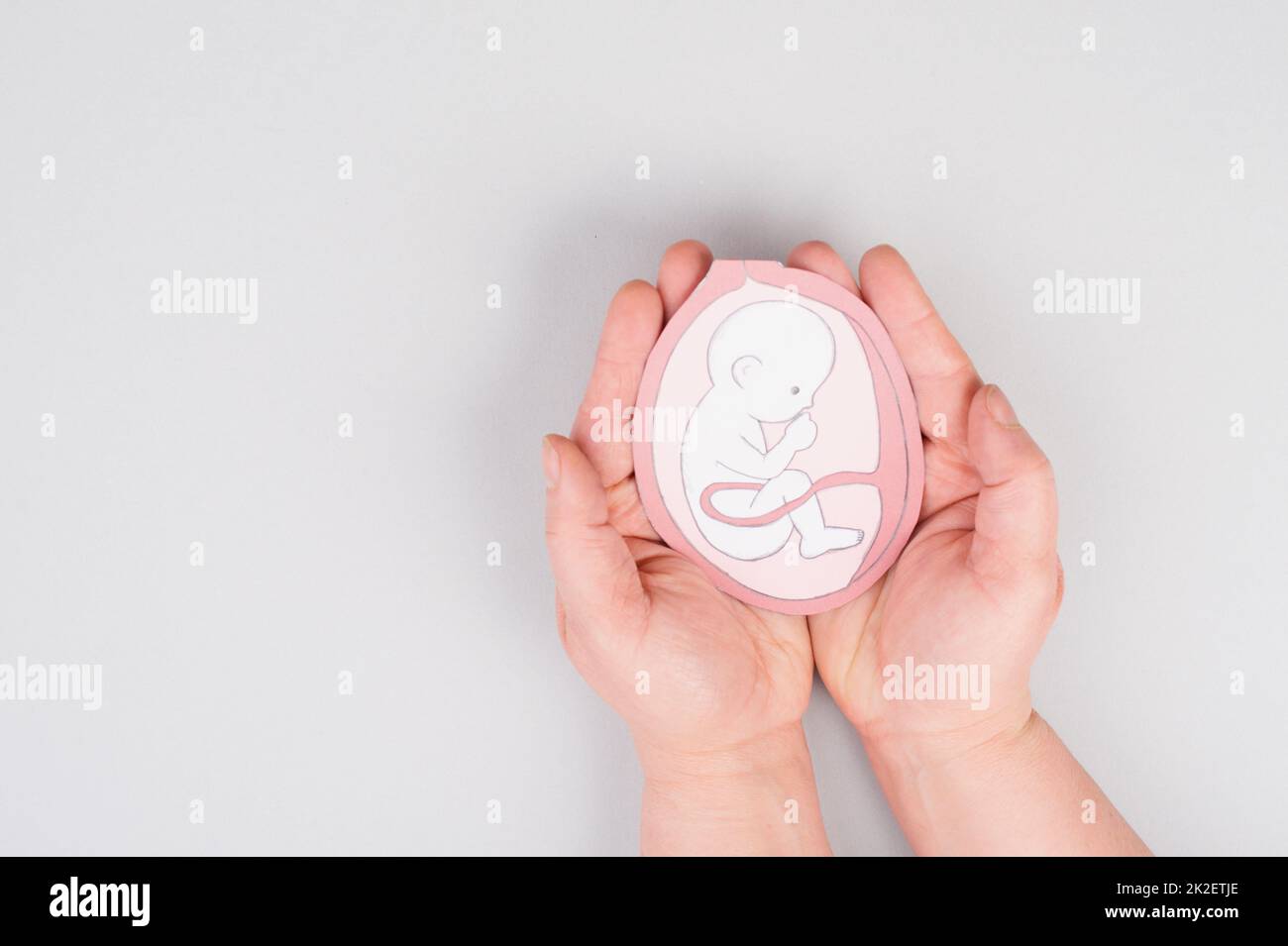 Ungeborenes Baby in der Gebärmutter, Zeichnung eines fötus im letzten Trimester der Schwangerschaft, Geburt und Mutterschaft, gynäkologische Gesundheitsversorgung Stockfoto