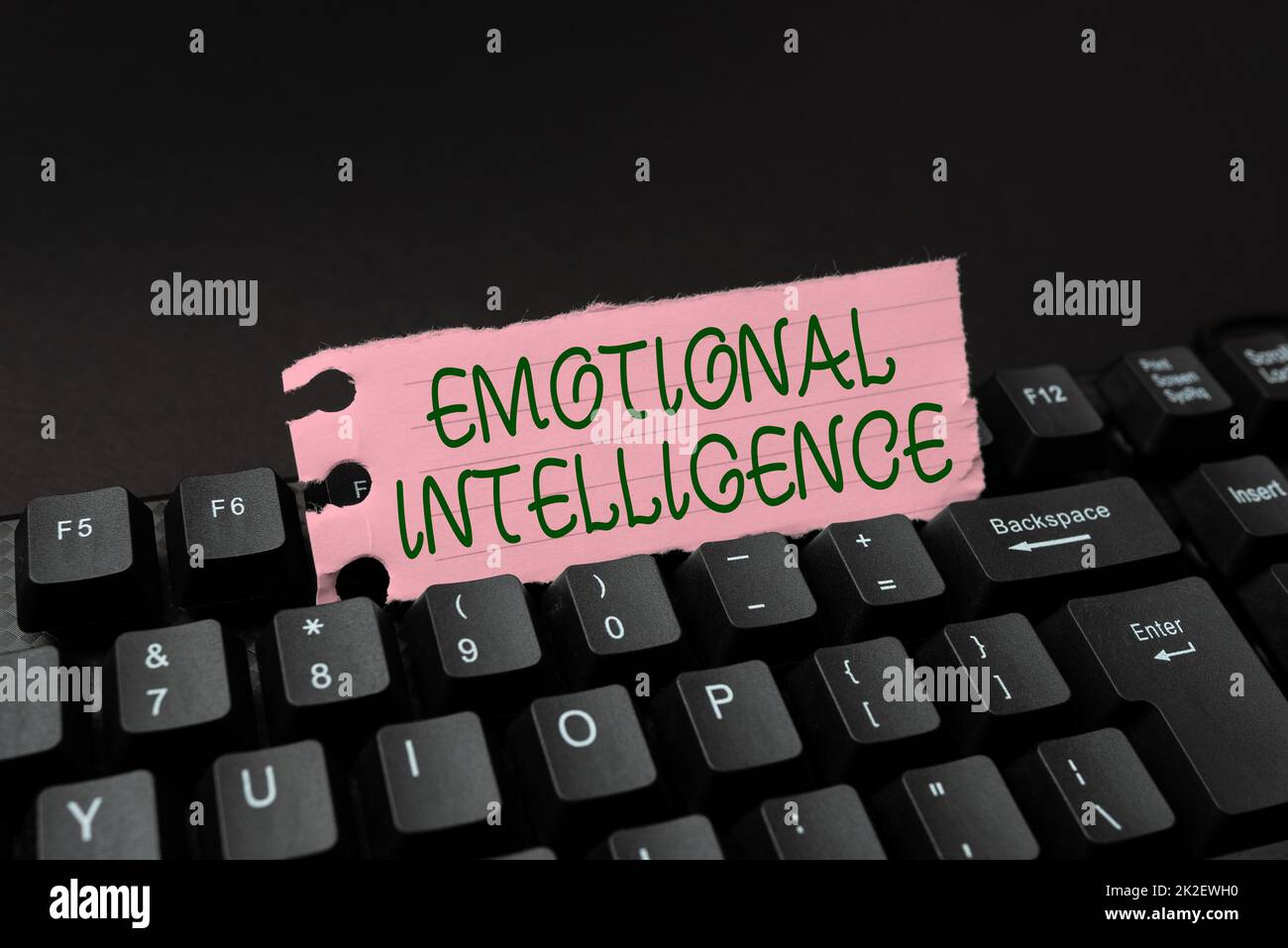 Textunterschrift mit emotionaler Intelligenz. Internet-Konzept Fähigkeit, sich bewusst zu sein, Einfluß zu nehmen, Emotionen zu kontrollieren, Krankenhausakten und -berichten zu schreiben, neues eBook-Leseprogramm zu erstellen Stockfoto