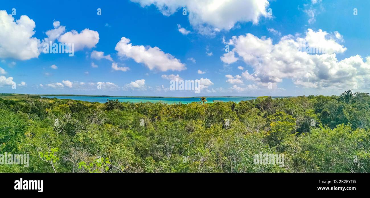 Panoramablick auf die Muyil Lagoon im tropischen Dschungel Mexiko. Stockfoto