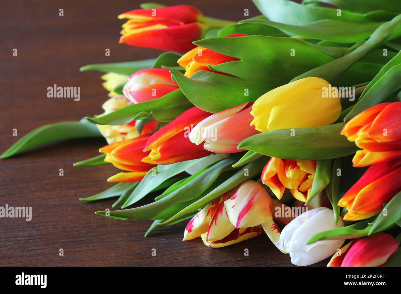 Blumenstrauß aus schönen Tulpen, Valentinstag, Internationale Frauen, Muttertag Stockfoto