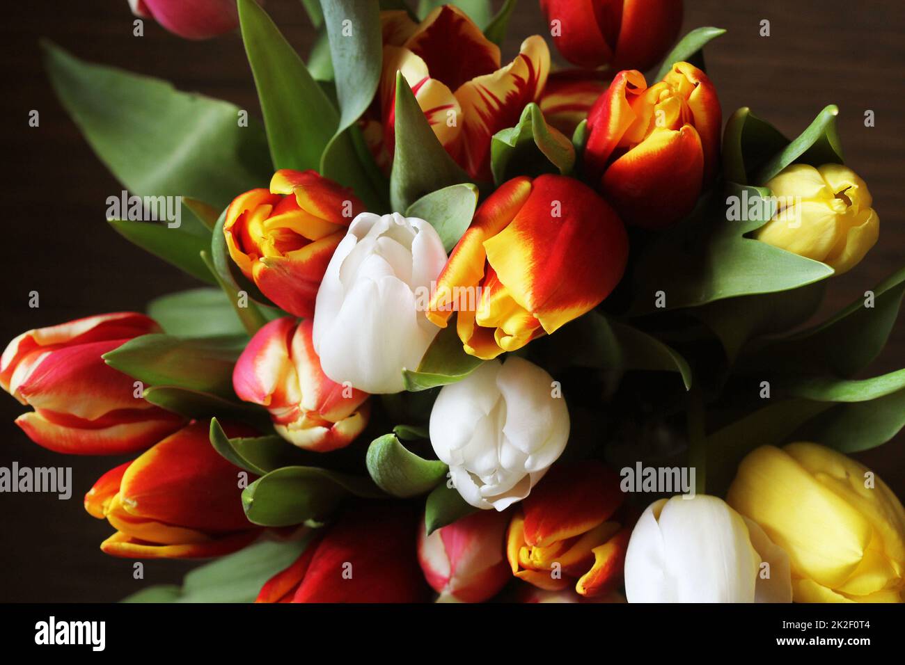 Blumenstrauß aus schönen Tulpen, Valentinstag, Internationale Frauen, Mutter, Tag Stockfoto