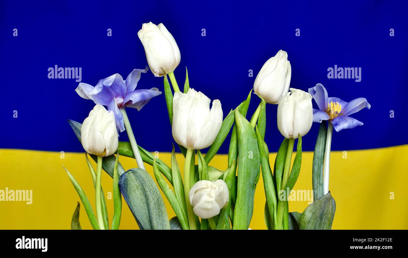 Ukrainische Nationalflagge - gelb-blau mit Blumen Stockfoto