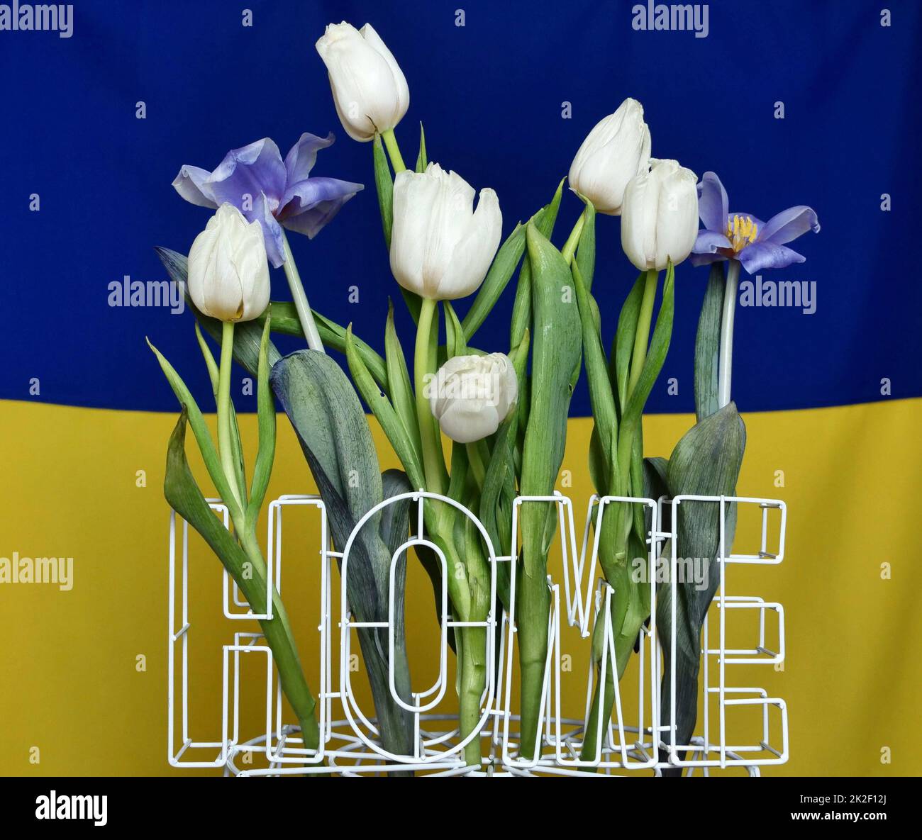 Ukrainische Nationalflagge - gelb-blau mit Blumen Stockfoto