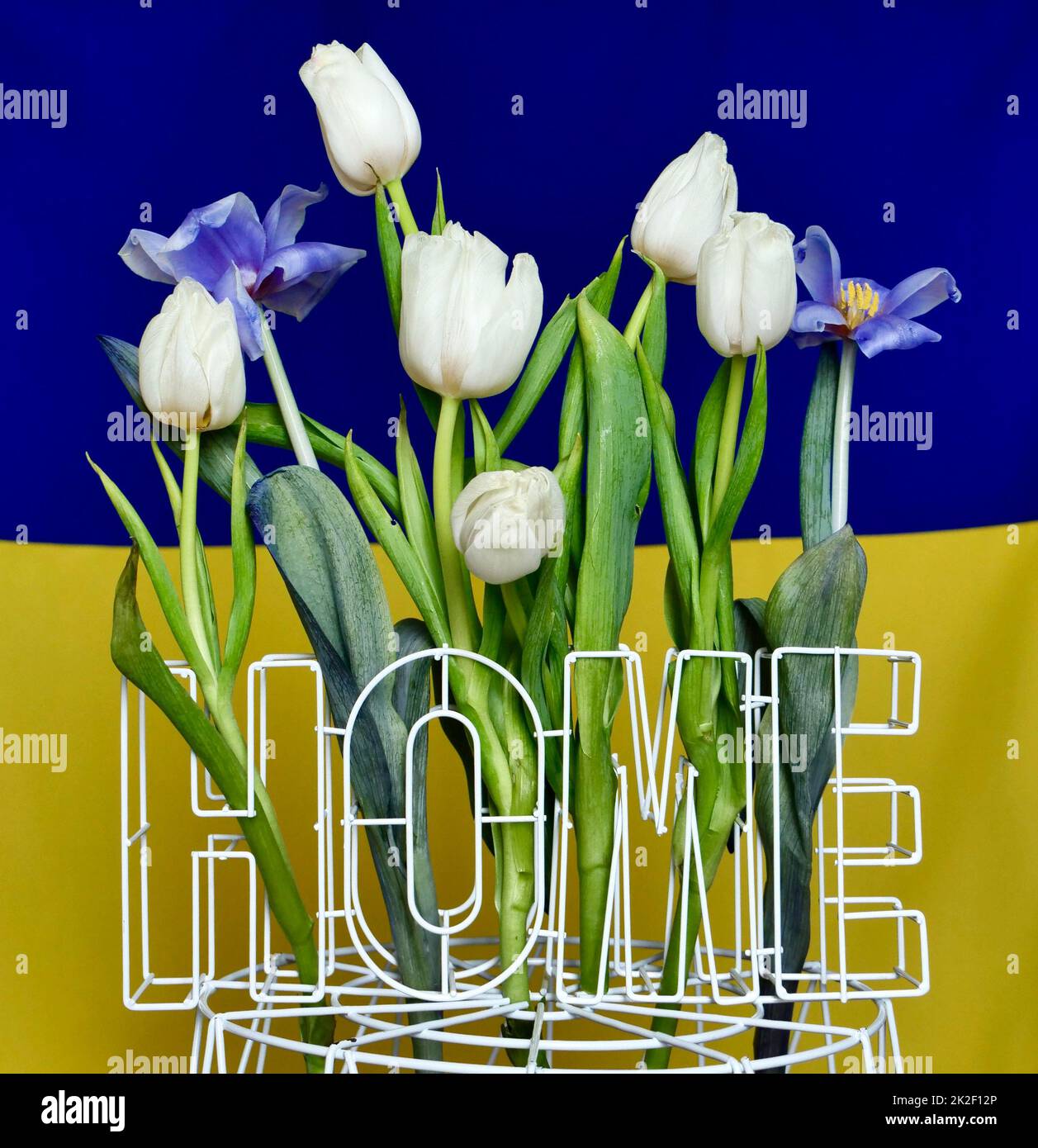 Ukrainische Nationalflagge - gelb-blau mit Blumen Stockfoto