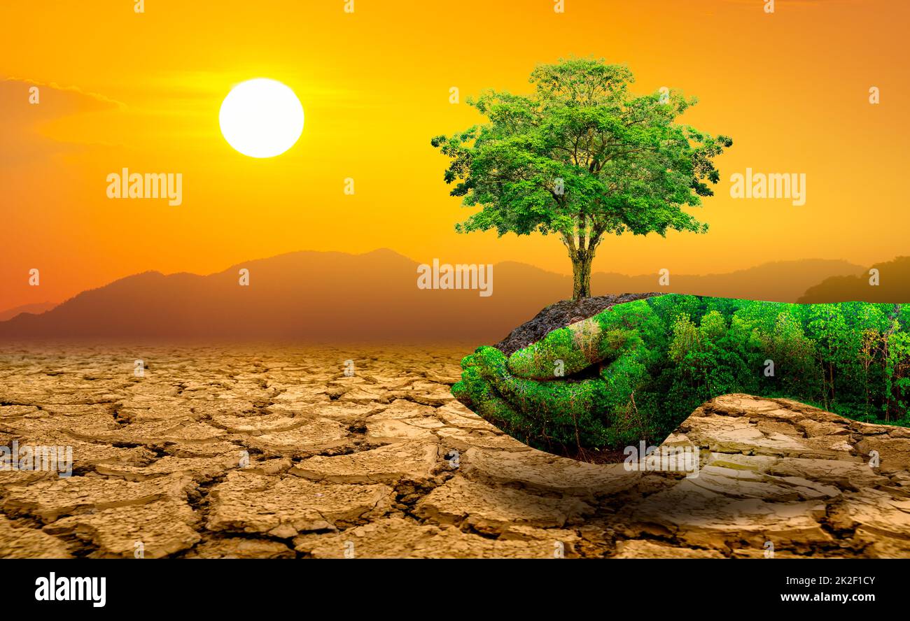 Baum in zwei Händen mit sehr unterschiedlichen Umgebungen Earth Day Oder Weltumwelttag Globale Erwärmung und Umweltverschmutzung Stockfoto