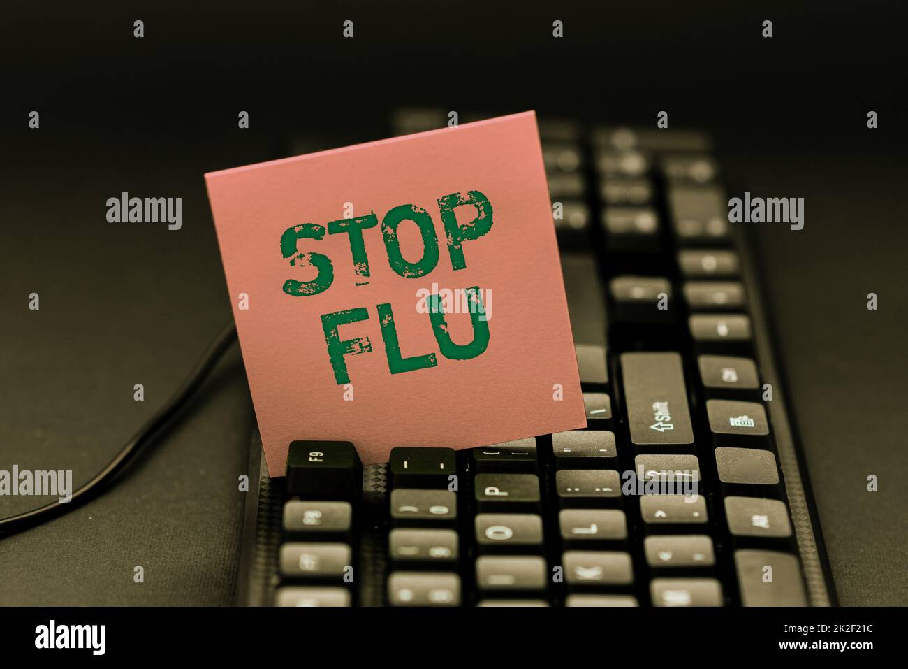 Schild mit der Aufschrift „Grippe stoppen“. Konzept Bedeutung Behandlung der ansteckenden Atemwegserkrankung durch Influenza-Virus Typisierung Online Website Informationen, Editing and Updating eBook Inhalt Stockfoto