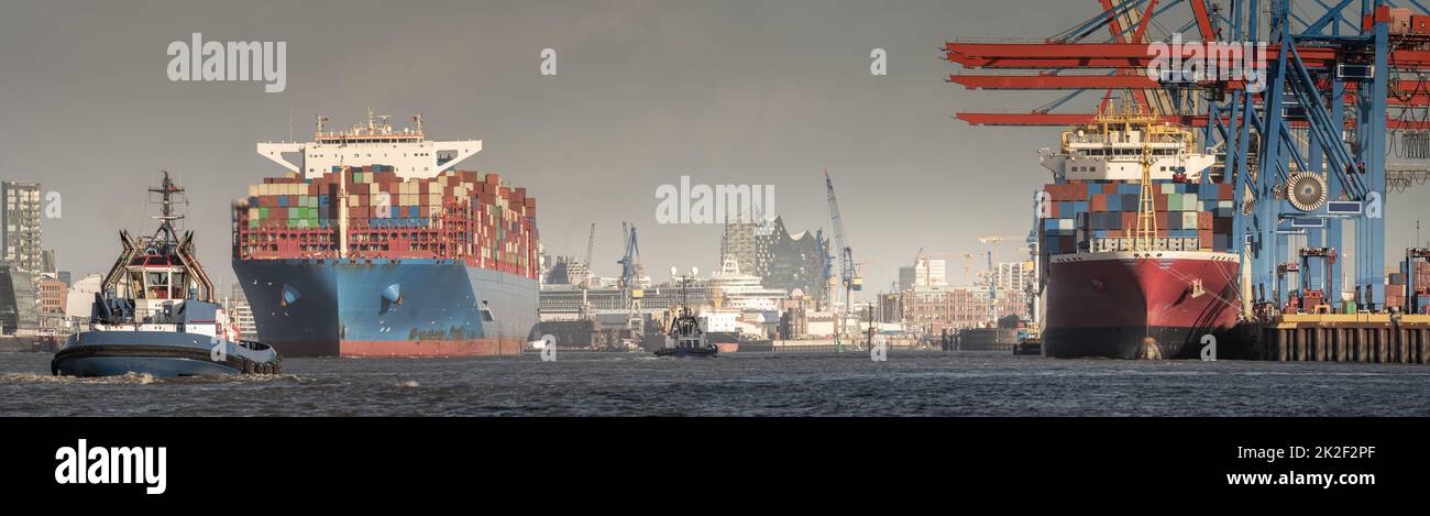 Hamburger Hafenpanorama mit Containerschiffen und Sehenswürdigkeiten Stockfoto