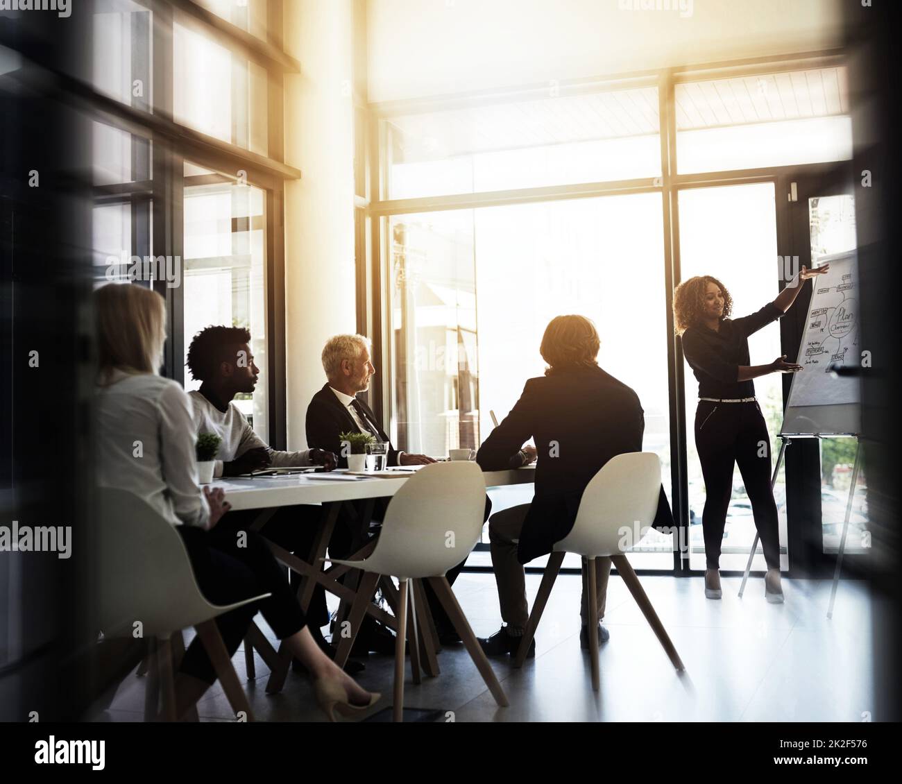 Sie legt ihren Geschäftsplan vor. Aufnahme einer jungen Geschäftsfrau, die vor Kollegen in einem Sitzungssaal eine Präsentation gehalten hat. Stockfoto