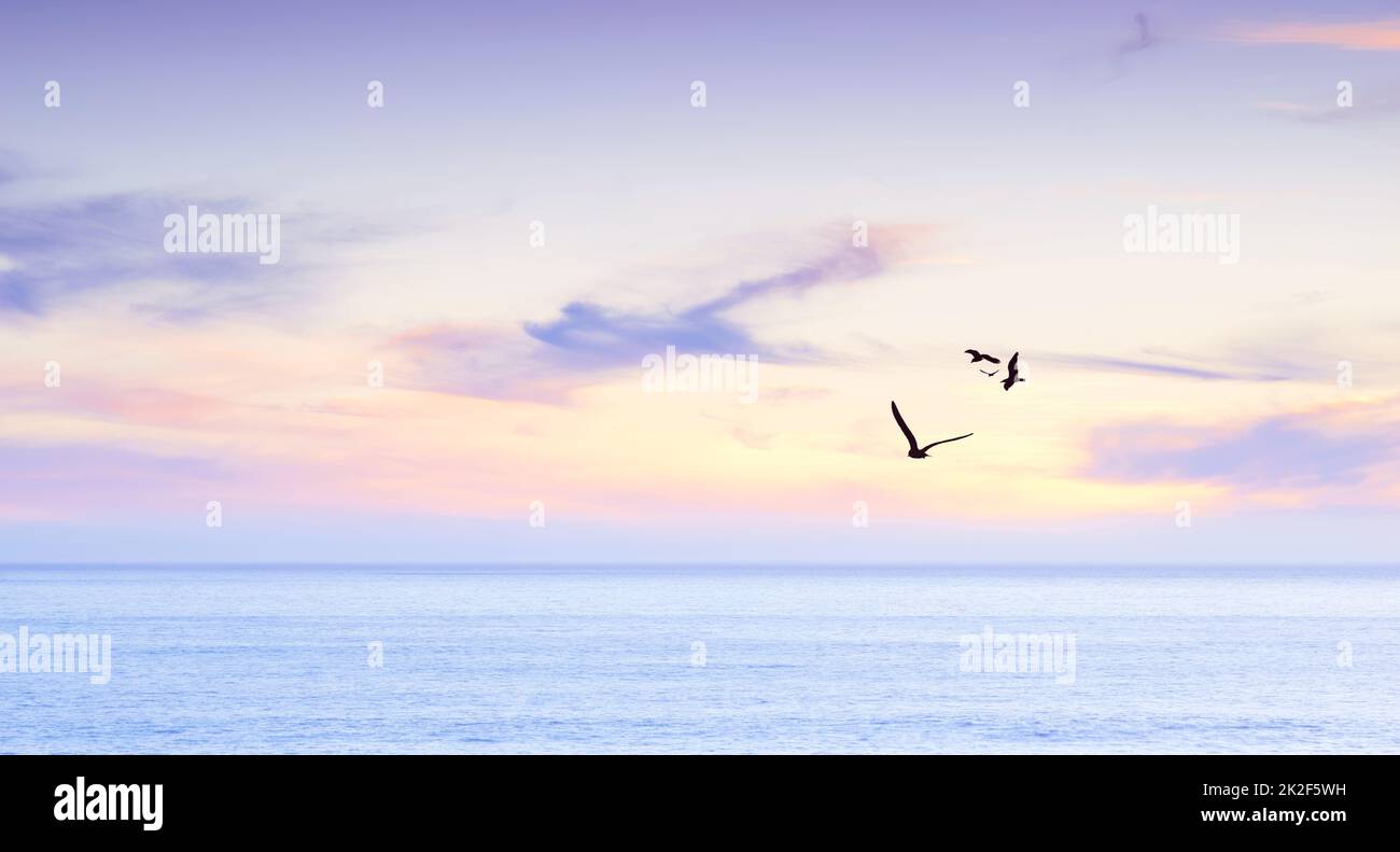 Sonnenaufgang über einem ruhigen Meer. Möwen fliegen während des Sonnenaufgangs über einem ruhigen Meer. Stockfoto Sonnenaufgang über einem ruhigen Meer. Möwen fliegen während des Sonnenaufgangs über einem ruhigen Meer. Stockfoto
