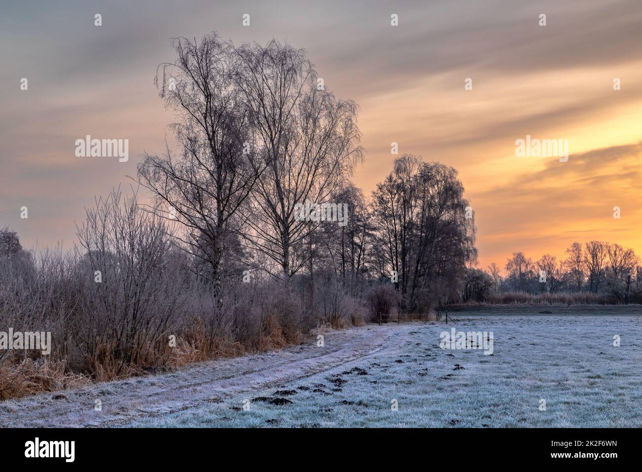 Kalter Morgen auf einem Feld in Bayern im Winter Stockfoto