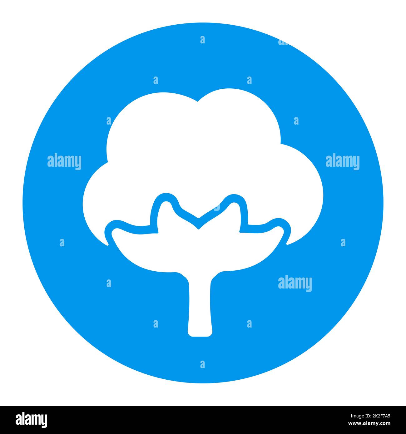 Baumwolle-Vektor-isoliertes flaches Glyphensymbol Stockfoto