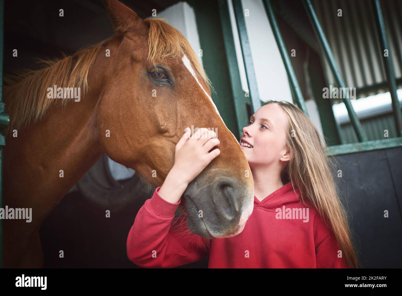 Pferde vor allem anderen. Aufnahme eines Teenagers, das sich mit ihrem Pferd anklebte. Stockfoto