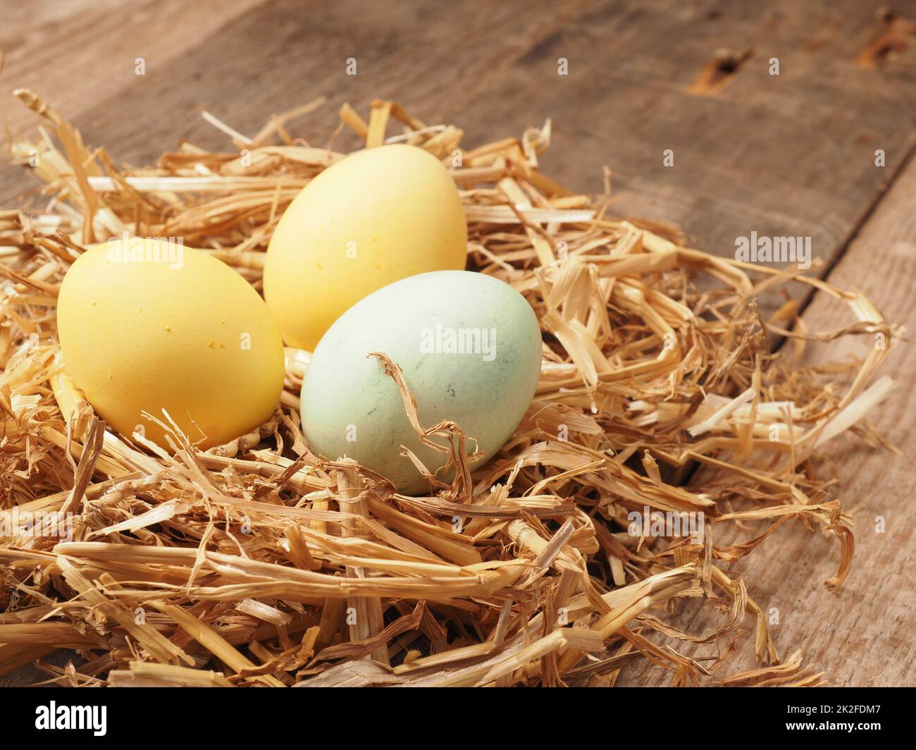 Mit natürlichen Farbstoffen selbstgefärbte Bio-Eier in einem Strohnest Stockfoto