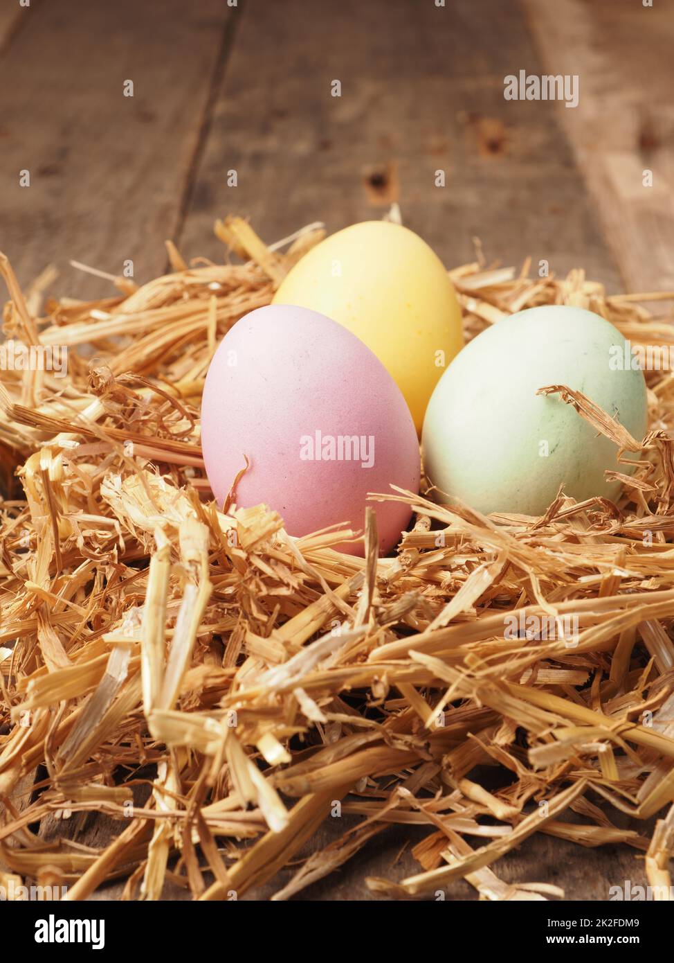 Mit natürlichen Farbstoffen selbstgefärbte Bio-Eier in einem Strohnest Stockfoto