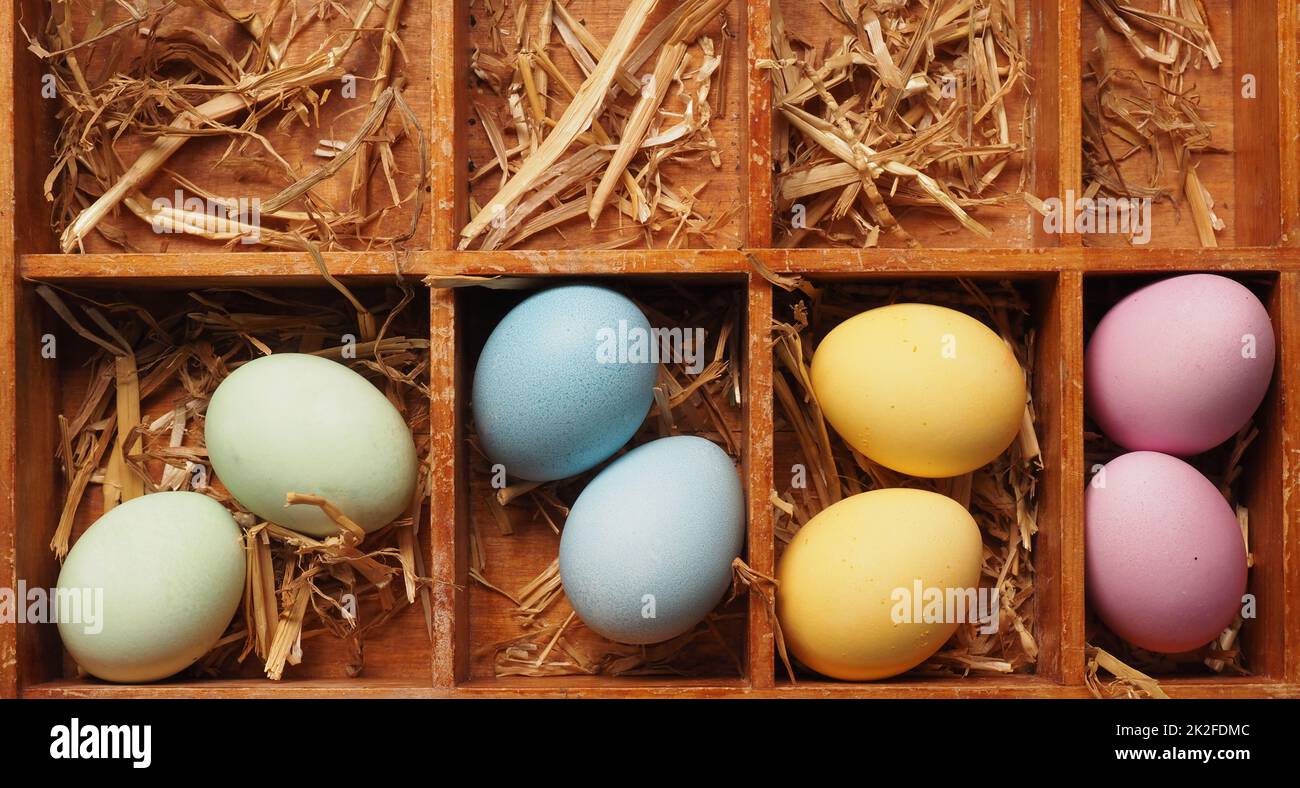 Mit natürlichen Farbstoffen selbstgefärbte Bio-Eier in einem Strohnest Stockfoto
