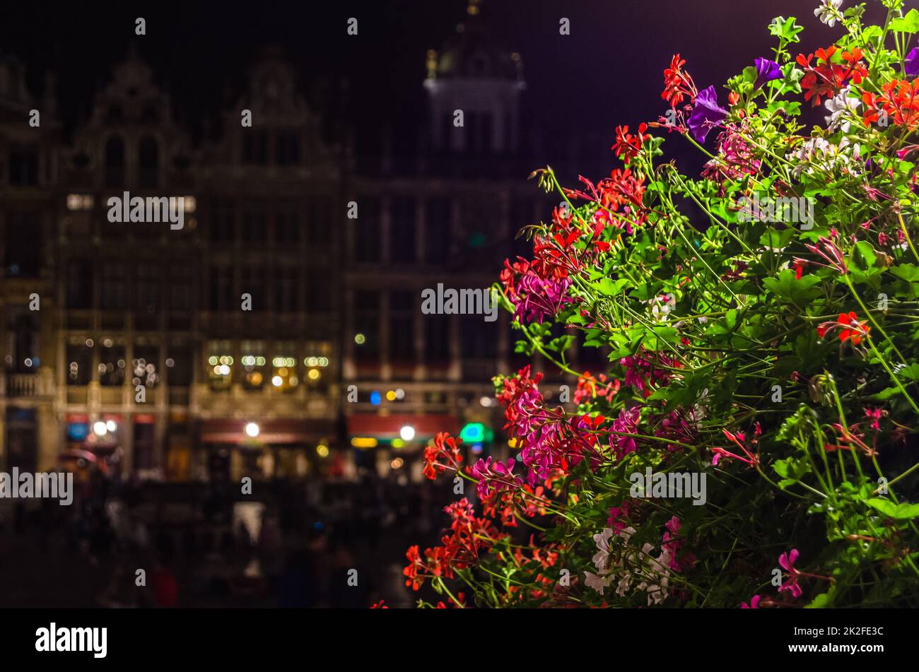 Wunderschöner Grand Place in Brüssel, Belgien, Nachtblick Stockfoto