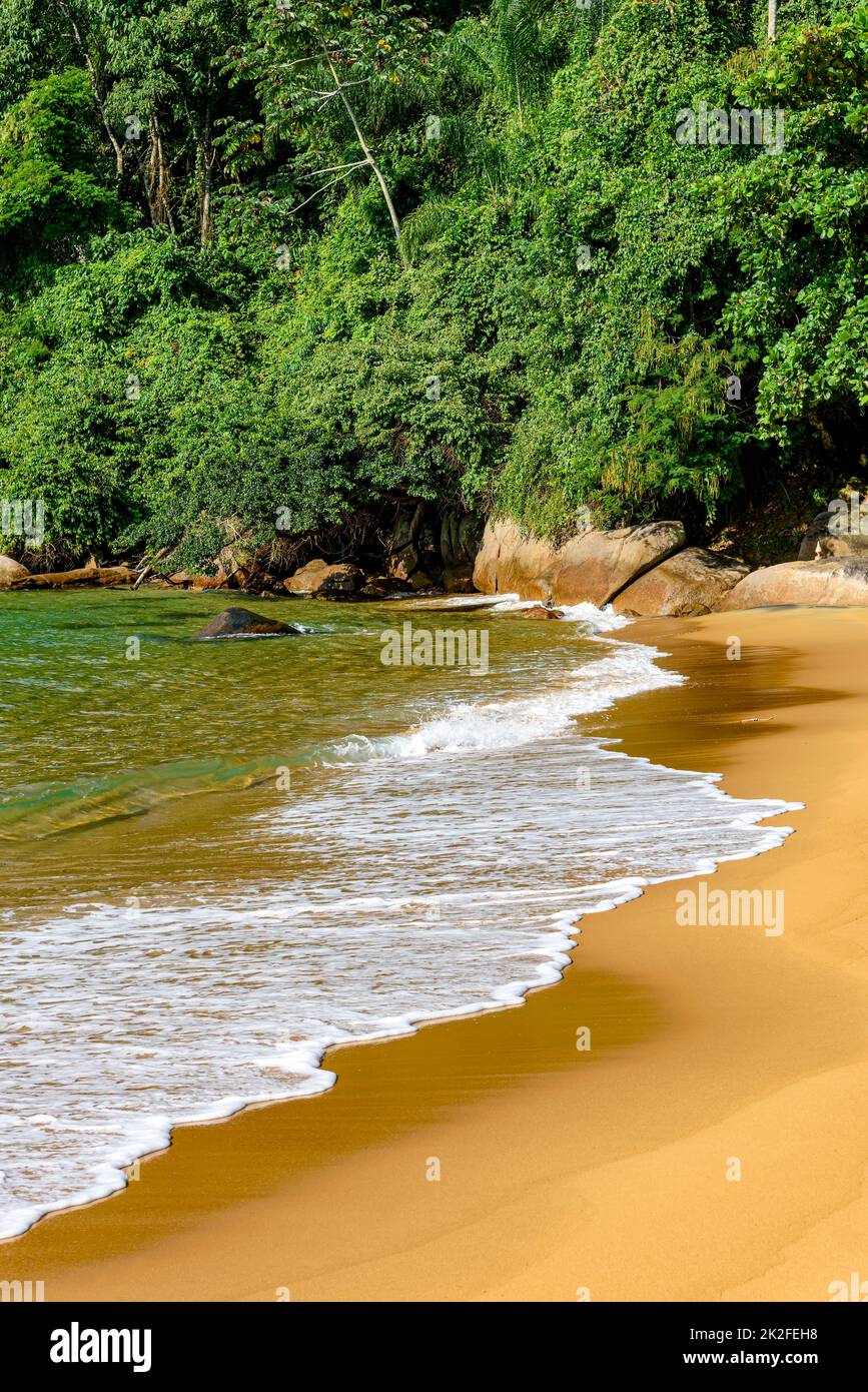 Paradiesischer Strand mit transparentem Wasser, umgeben von Regenwald Stockfoto