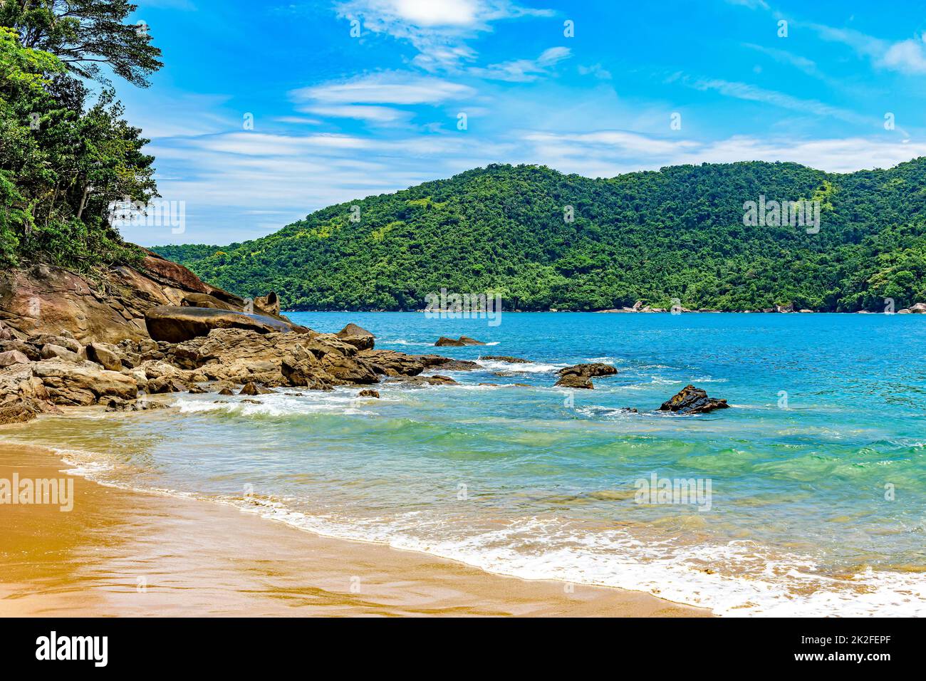 Die Begegnung zwischen dem erhaltenen tropischen Wald und dem Meer Stockfoto