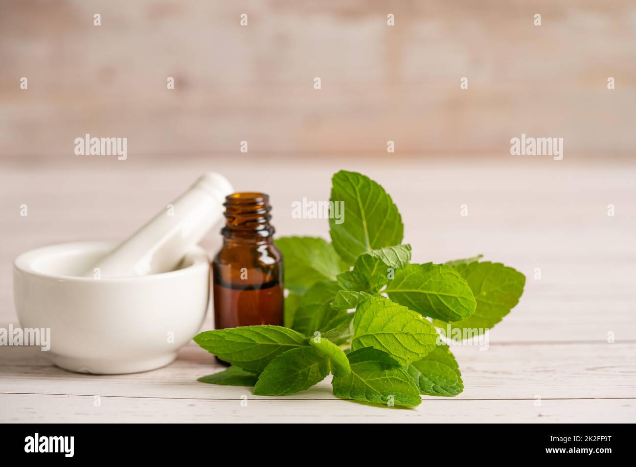 Alternative Medizin Kräuter Bio Kräuter Minze Blatt natürliche Ergänzungen für ein gesundes gutes Leben. Stockfoto