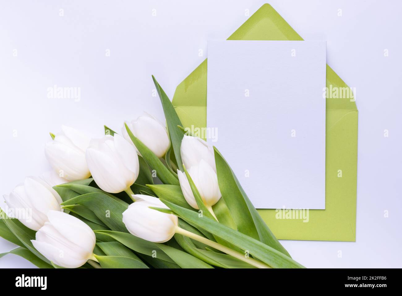 Grußkartenvorlage in einem Umschlag mit Tulpenstrauß. Konzept der Frühlingsferien. Stockfoto