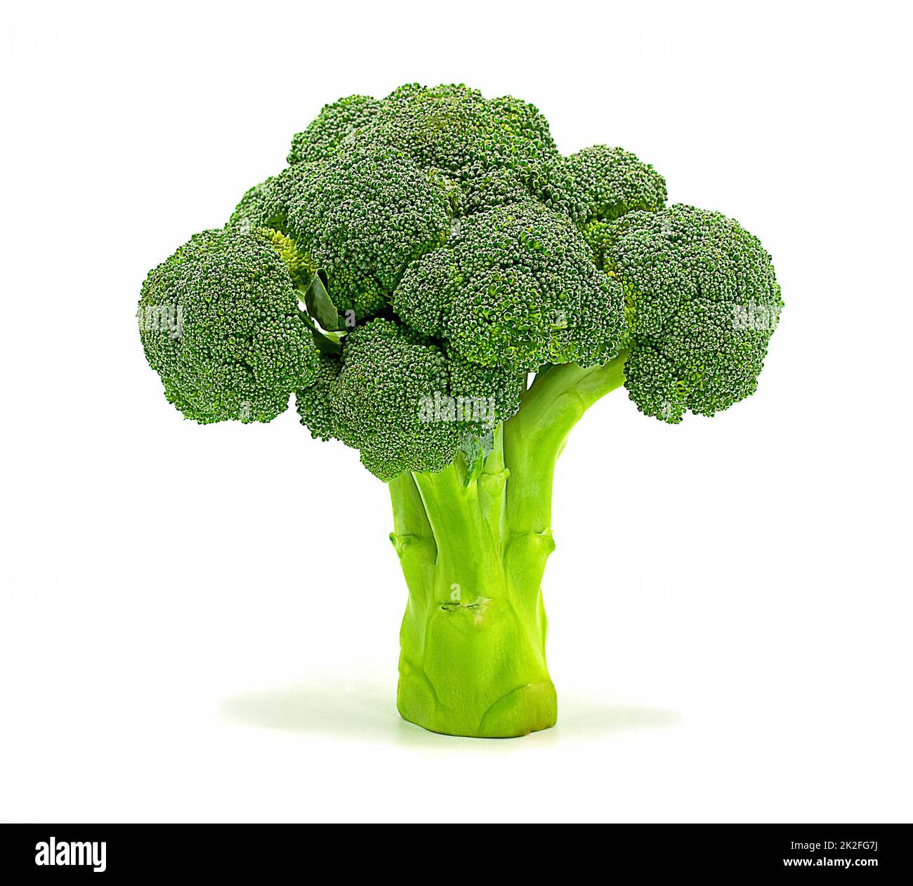 Brokkoli isoliert auf weißem Hintergrund, Nahaufnahme Stockfoto