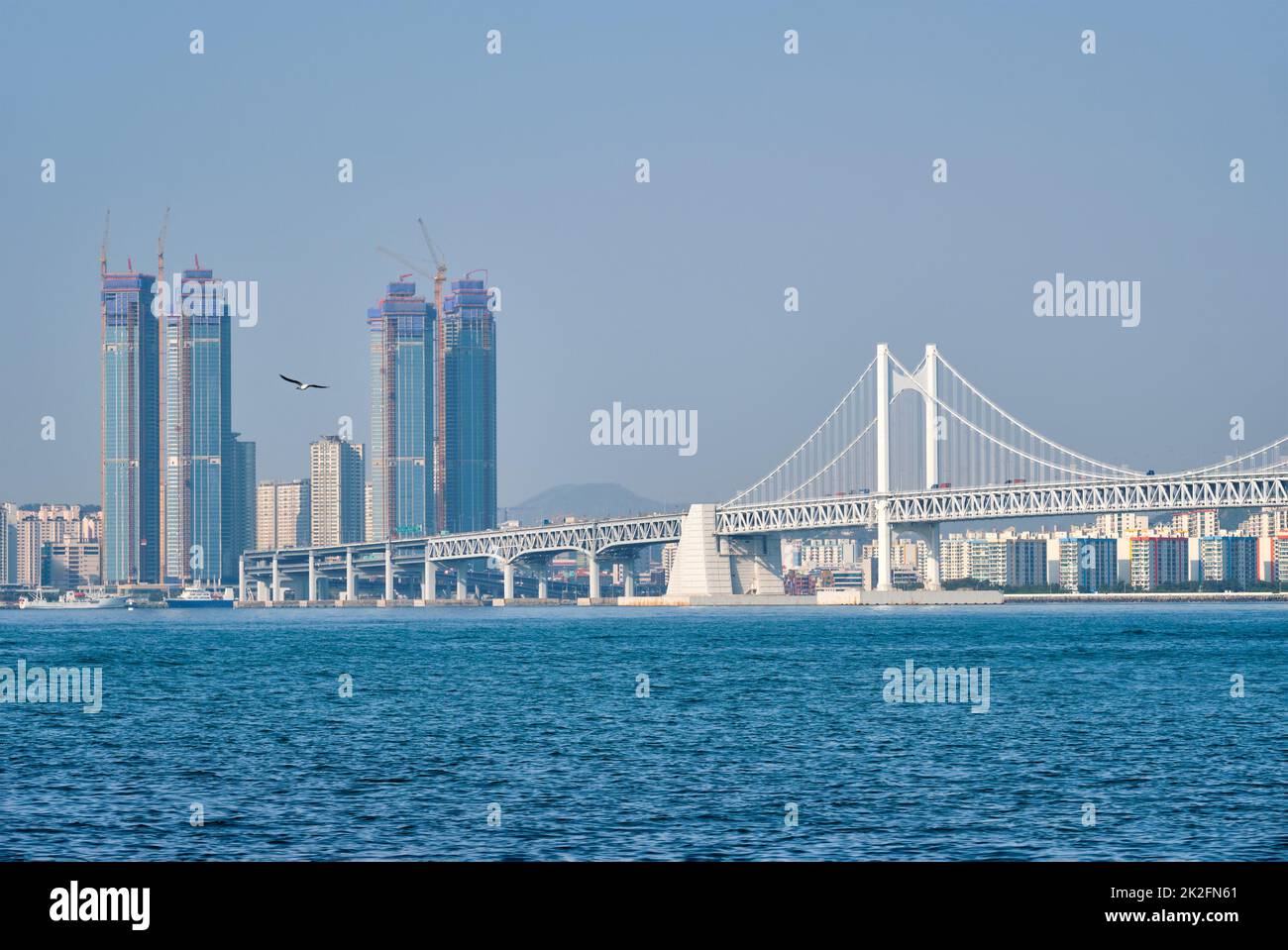 Gwangan Brücke und Wolkenkratzer in Busan, Südkorea Stockfoto