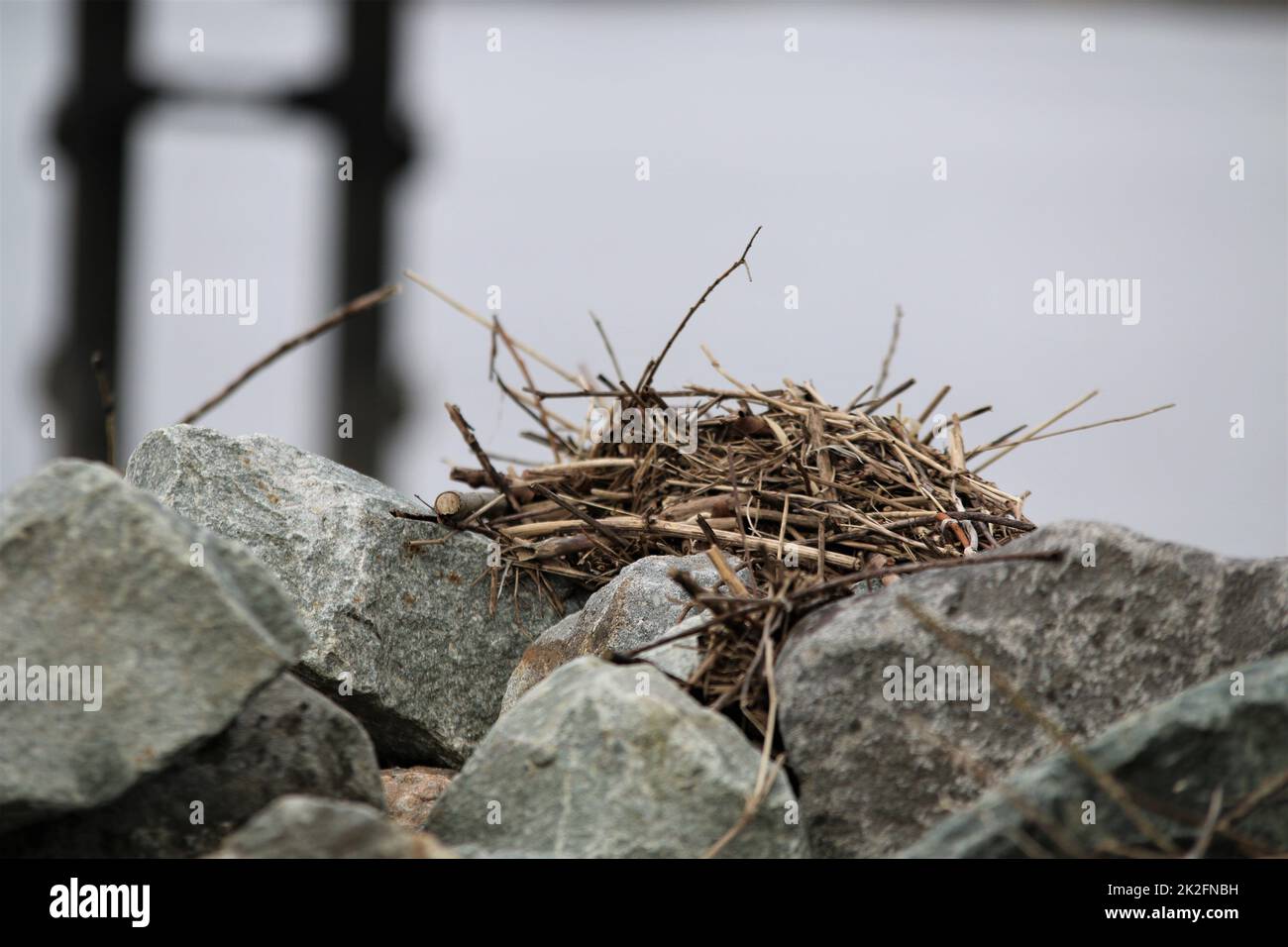 Nahaufnahme eines Steinpiers in einem Hafenbecken Stockfoto