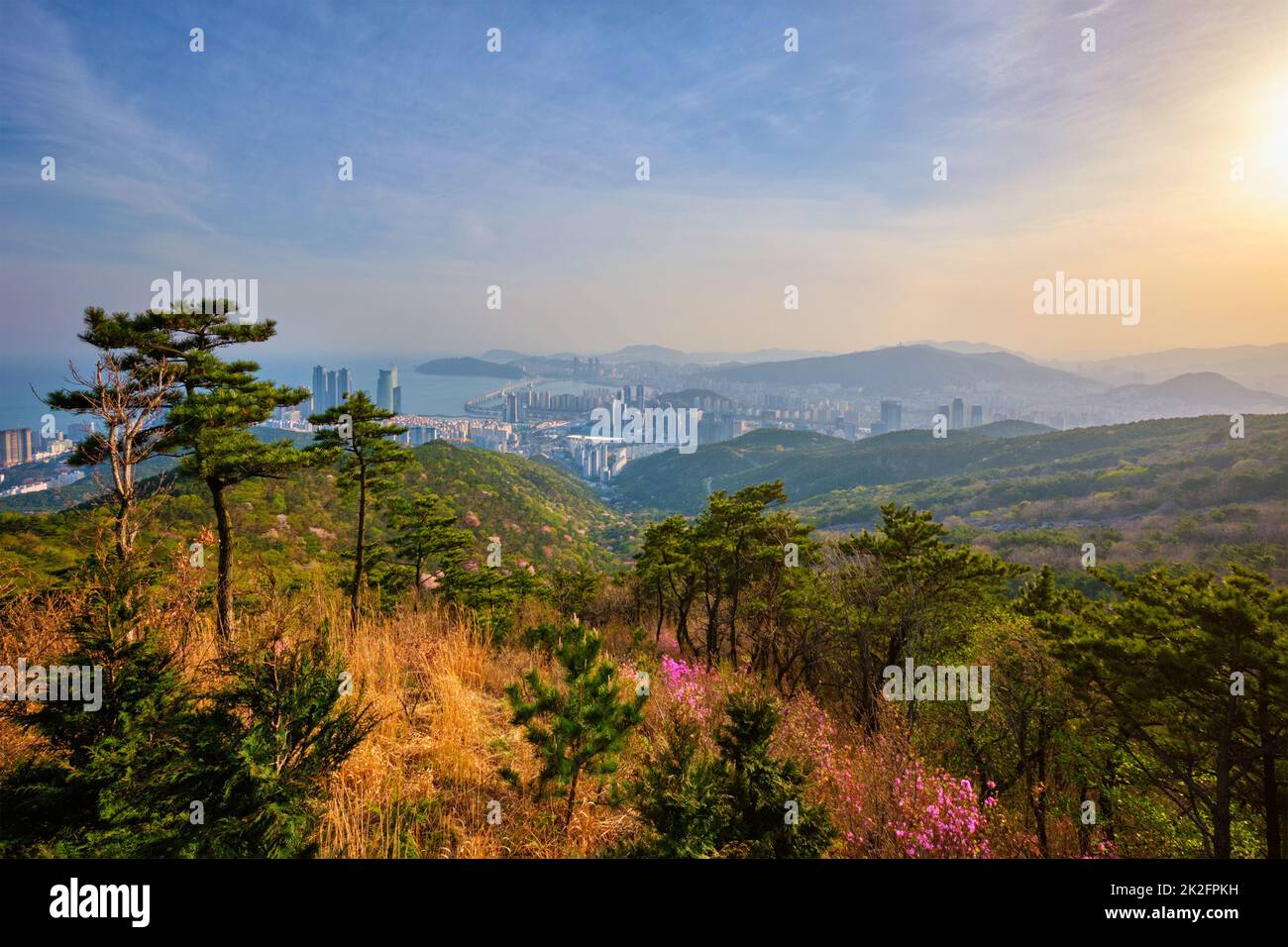 Busan Stadtbild Gwangan Brücke am Sonnenuntergang Stockfoto