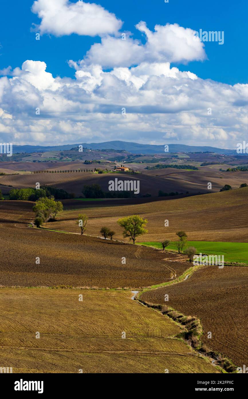 Typische toskanische Landschaft in der Nähe von Siena, Toskana, Italien Stockfoto