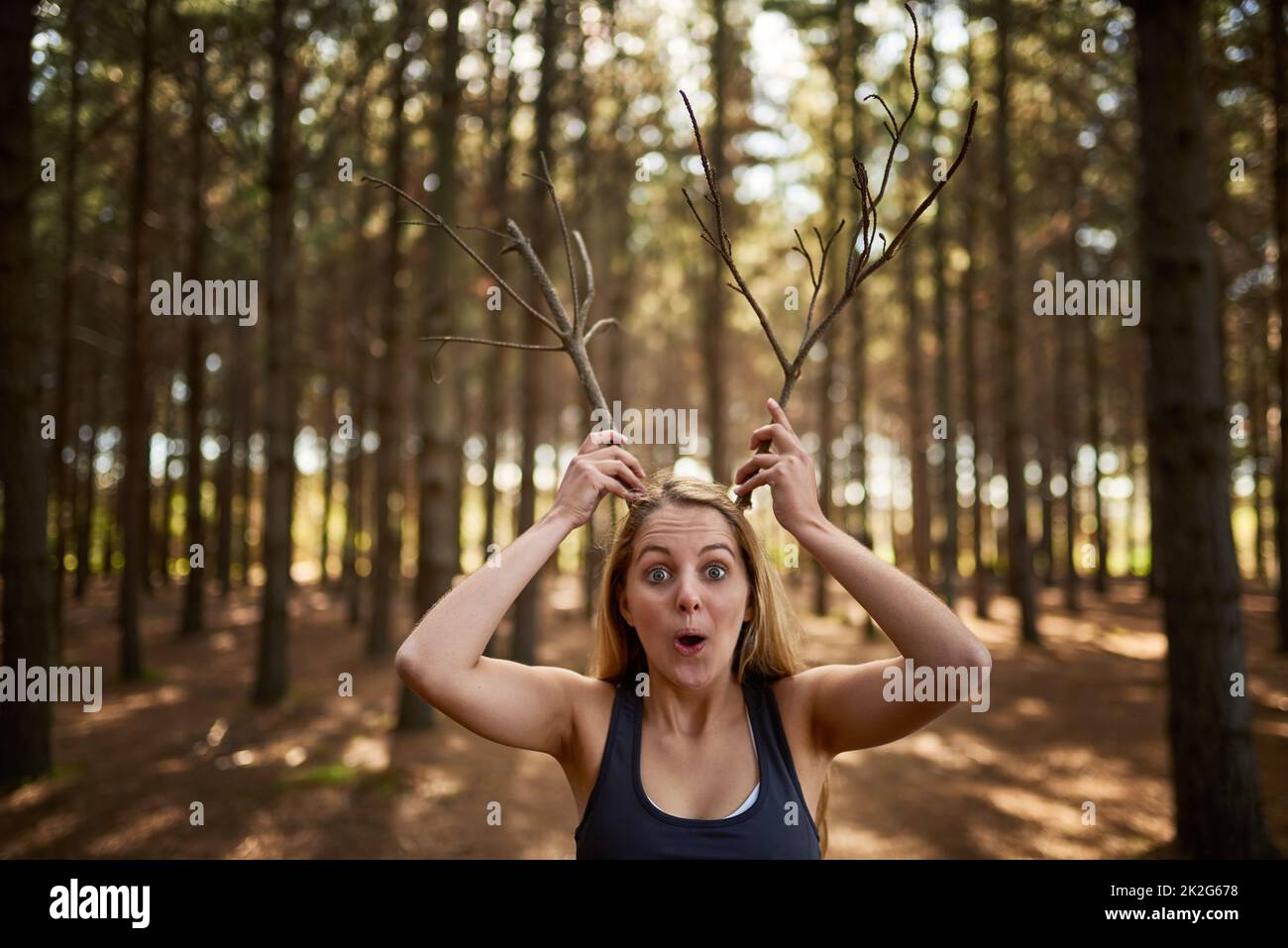Dumm im Wald. Porträt einer verspielten jungen Frau, die wie Geweihe im Wald Äste hält. Stockfoto