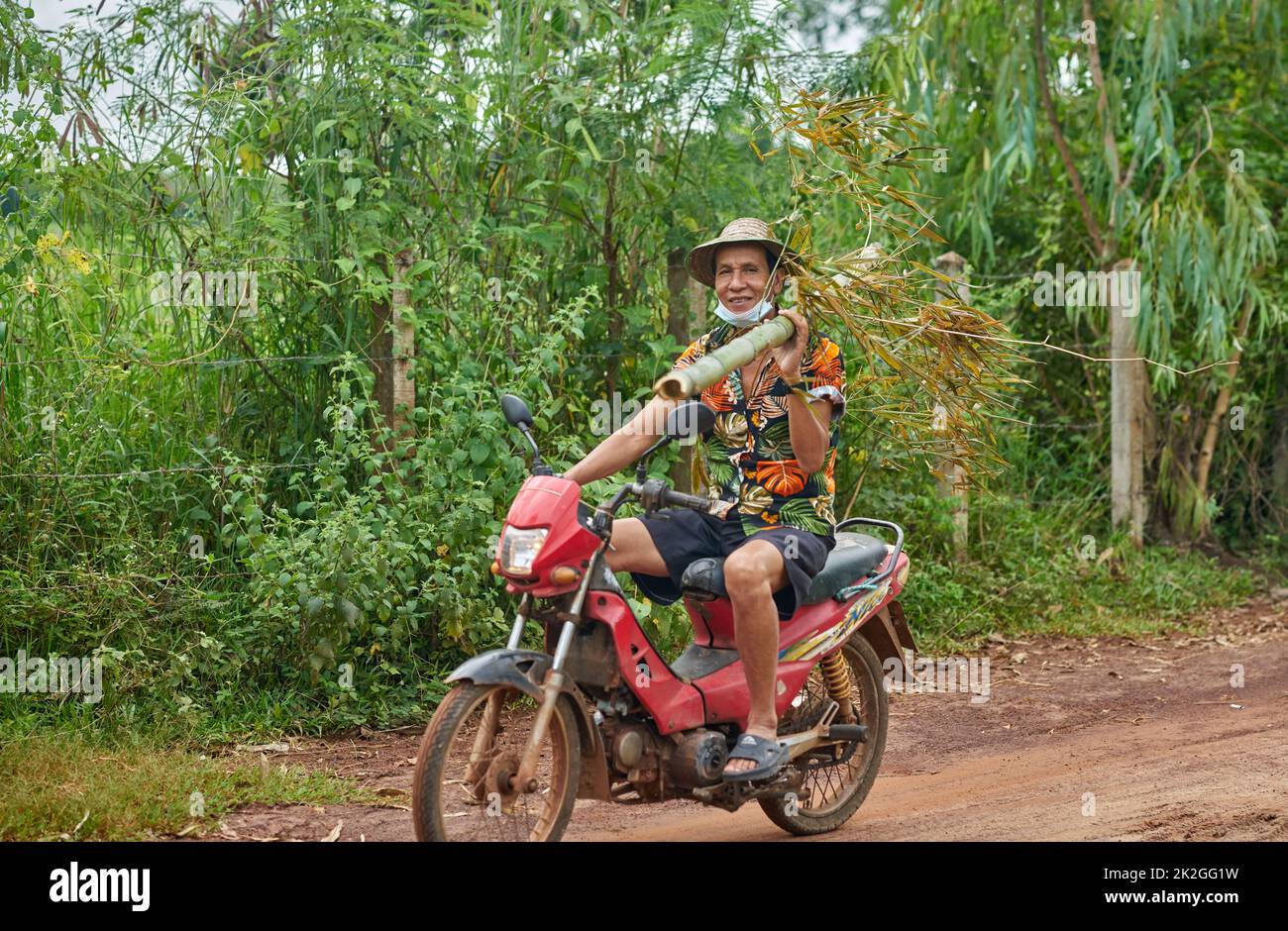 Ein Bauer in einem bunten Hemd trägt einen Bambusbaumstamm auf seiner Schulter, während er auf einem Motorrad fährt, aufgenommen in Sakon Nakhon, Thailand Stockfoto