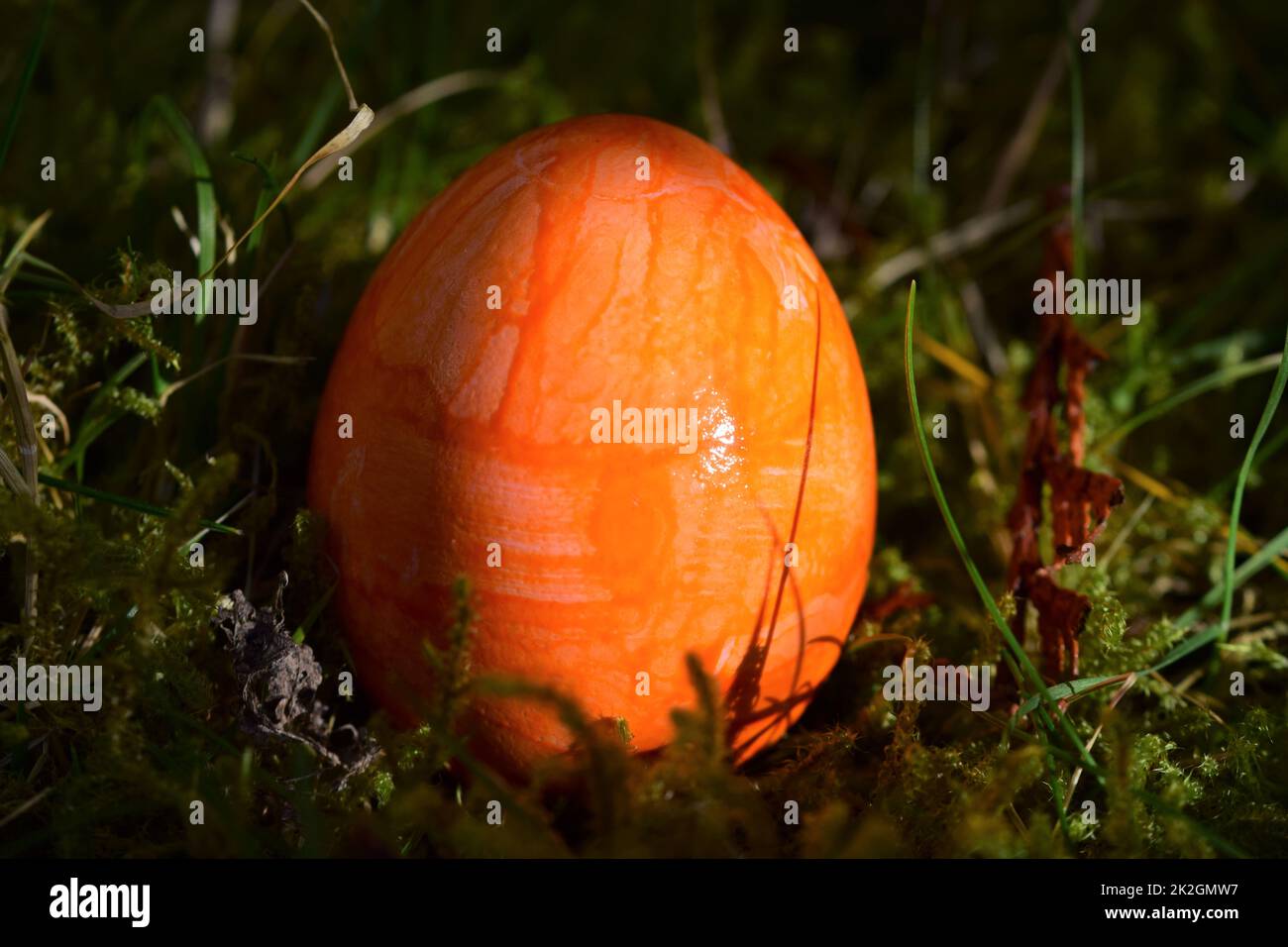 Orangefarbenes Osterei im moosigen Gras Stockfoto